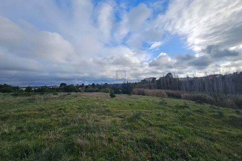 Helårsgrund i Santo Onofre e Serra do Bouro, Leiria, Santo Onofre e Serra do Bouro - € 275.940 | Ref: CAL-216721 - foto 11