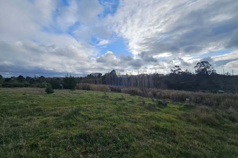 Helårsgrund i Santo Onofre e Serra do Bouro, Leiria, Santo Onofre e Serra do Bouro - € 275.940 | Ref: CAL-216721 - foto 12