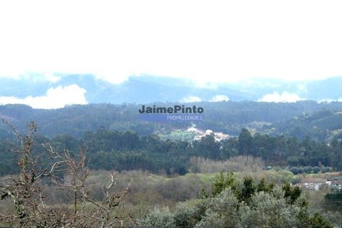Helårsgrund i Miranda do Corvo, Coimbra, Miranda do Corvo - € 51.500 | Ref: 9753_T - foto 3