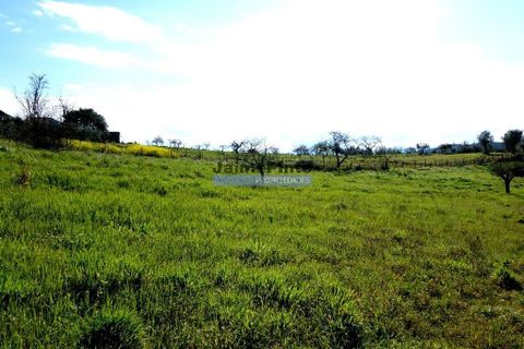 Villa a Penacova, Coimbra, Penacova - € 66.000 | Ref: 9743_M - foto 3