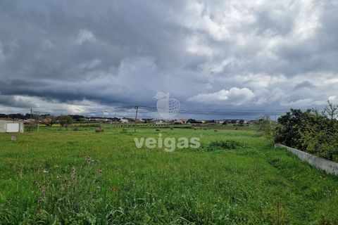 Tomt i Monte Real, Leiria, Monte Real - € 145 000 | Ref: LIZ-216115 - foto 3