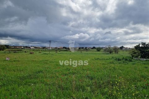 Tomt i Monte Real, Leiria, Monte Real - € 145 000 | Ref: LIZ-216115 - foto 4
