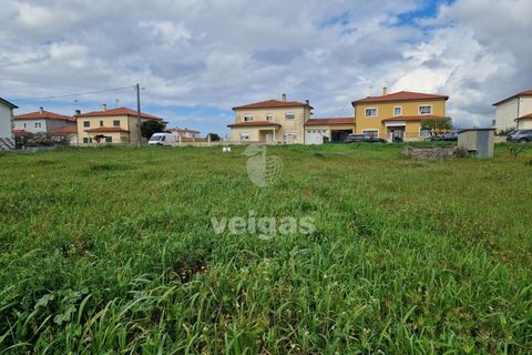 Tomt i Monte Real, Leiria, Monte Real - € 145 000 | Ref: LIZ-216115 - foto 5