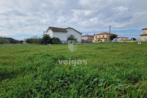 Tomt i Monte Real, Leiria, Monte Real - € 145 000 | Ref: LIZ-216115 - foto 7