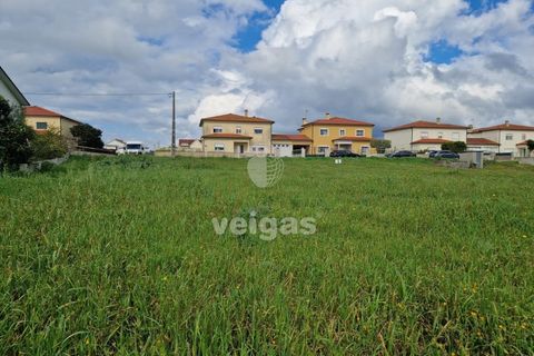 Tomt i Monte Real, Leiria, Monte Real - € 145 000 | Ref: LIZ-216115 - foto 9