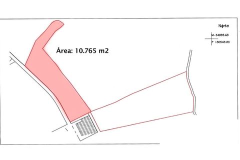 Helårsgrund i Trofa, Porto, Trofa - € 753.000 | Ref: RO2362 - foto 6