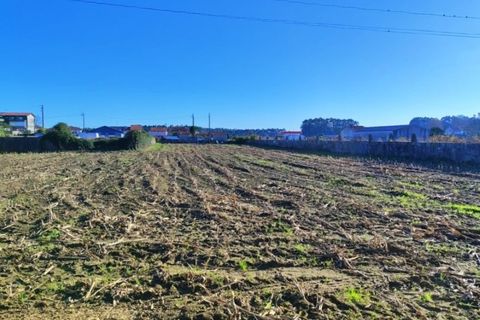 Helårsgrund i Lavra, Porto, Lavra - € 319.000 | Ref: RO2458 - foto 3