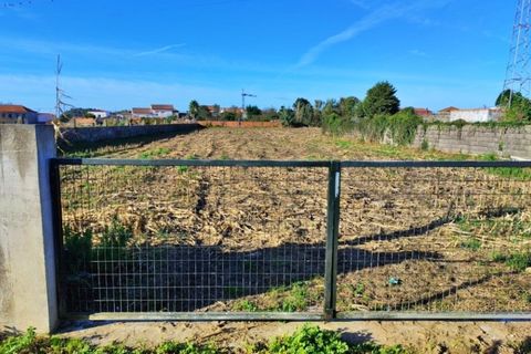 Helårsgrund i Lavra, Porto, Lavra - € 319.000 | Ref: RO2458 - foto 7