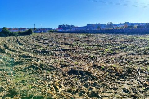 Helårsgrund i Lavra, Porto, Lavra - € 319.000 | Ref: RO2458 - foto 10