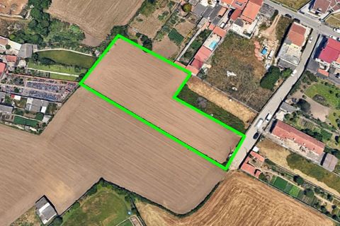 Helårsgrund i Lavra, Porto, Lavra - € 319.000 | Ref: RO2458 - foto 11