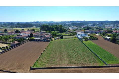 Villa i Maia, Porto, Maia - € 420.000 | Ref: RO2424 - foto 3