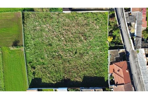 Helårsgrund i Lavra, Porto, Lavra - € 420.000 | Ref: RO2414 - foto 14