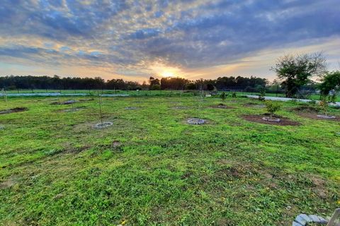 Helårsgrund i Lavra, Porto, Lavra - € 420.000 | Ref: RO2414 - foto 15