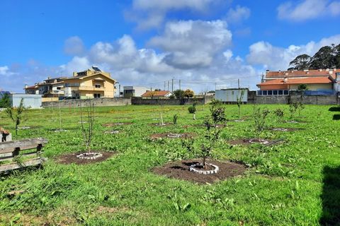 Helårsgrund i Lavra, Porto, Lavra - € 420.000 | Ref: RO2414 - foto 21