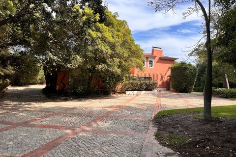 Villa i Cascais, Lisbon, Cascais - € 9.900.000 | Ref: NR8476 - foto 7