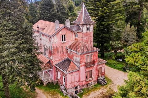 Farm i Sintra, Lisbon, Sintra - € 23.500.000 | Ref: 8608 - foto 2