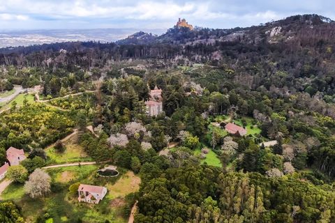 Farm i Sintra, Lisbon, Sintra - € 23.500.000 | Ref: 8608 - foto 3