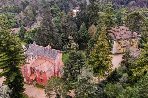 Farm i Sintra, Lisbon, Sintra - € 23.500.000 | Ref: 8608 - foto 4