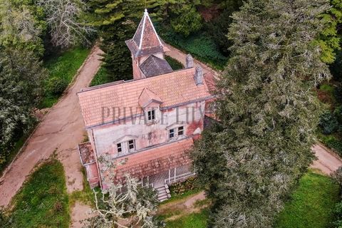 Farm i Sintra, Lisbon, Sintra - € 23.500.000 | Ref: 8608 - foto 1