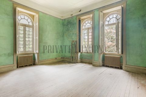 Farm i Sintra, Lisbon, Sintra - € 23.500.000 | Ref: 8608 - foto 8