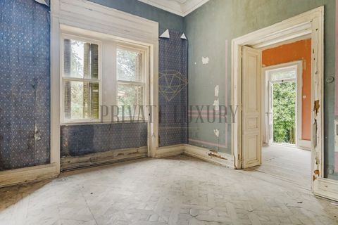 Farm i Sintra, Lisbon, Sintra - € 23.500.000 | Ref: 8608 - foto 19
