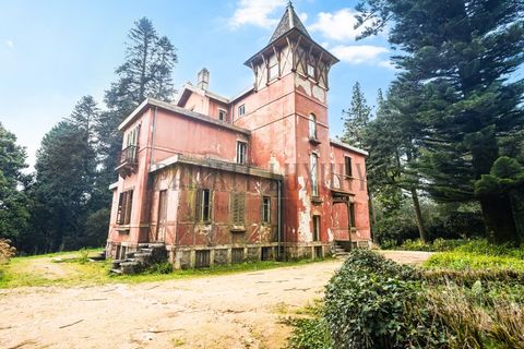 Farm i Sintra, Lisbon, Sintra - € 23.500.000 | Ref: 8608 - foto 30