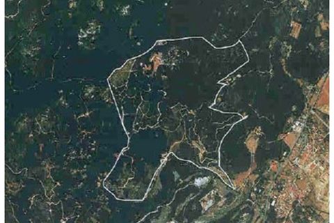 Farm i Sintra, Lisbon, Sintra - € 23.500.000 | Ref: 8608 - foto 39