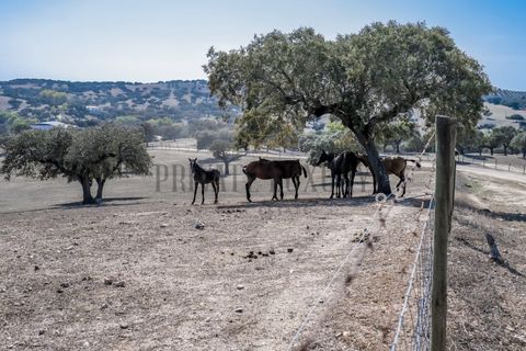 Villa a Avis, Portalegre, Avis - € 6.780.000 | Ref: 8573 - foto 44