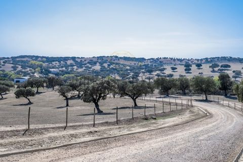 Villa a Avis, Portalegre, Avis - € 6.780.000 | Ref: 8573 - foto 45