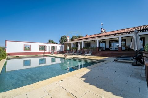 Farm i Avis, Portalegre, Avis - € 6.780.000 | Ref: 8574 - foto 11