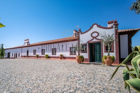 Farm i Avis, Portalegre, Avis - € 6.780.000 | Ref: 8574 - foto 15