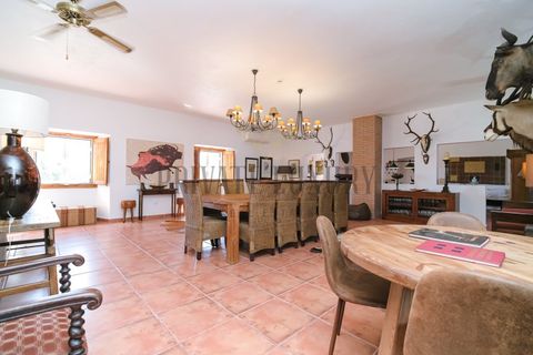 Farm i Avis, Portalegre, Avis - € 6.780.000 | Ref: 8574 - foto 23