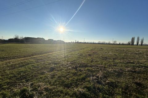 Tomt i Campodoro, Padua, Campodoro - € 315 000 | Ref: TR050 - foto 3