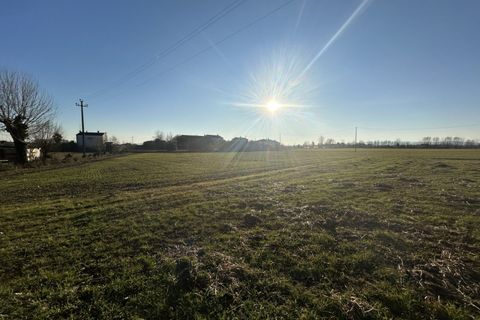 Tomt i Campodoro, Padua, Campodoro - € 315 000 | Ref: TR050 - foto 5