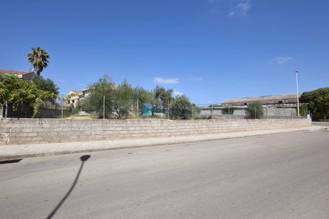 Terra a Sassari, Sassari, Sassari - € 195.000 | Ref: SS-153LM - foto 4