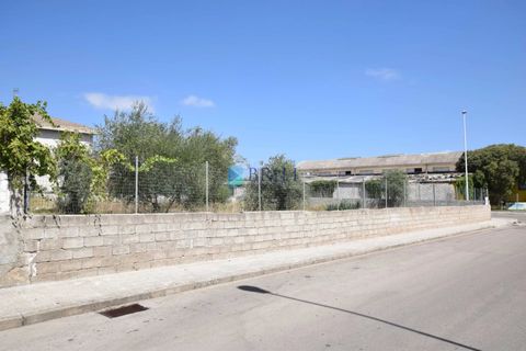 Terra a Sassari, Sassari, Sassari - € 195.000 | Ref: SS-153LM - foto 12