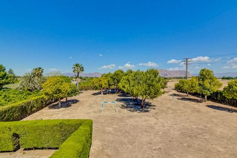 Landejendom i Jacarilla, Alicante, Jacarilla - € 489.000 | Ref: COL-27206 - foto 4