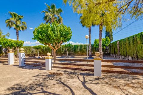 Landejendom i Jacarilla, Alicante, Jacarilla - € 489.000 | Ref: COL-27206 - foto 5