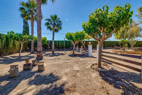 Landejendom i Jacarilla, Alicante, Jacarilla - € 489.000 | Ref: COL-27206 - foto 6