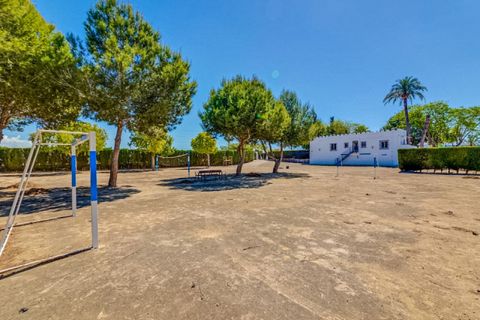 Landejendom i Jacarilla, Alicante, Jacarilla - € 489.000 | Ref: COL-27206 - foto 7
