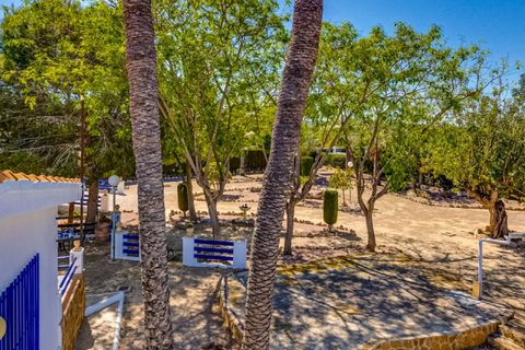 Landejendom i Jacarilla, Alicante, Jacarilla - € 489.000 | Ref: COL-27206 - foto 8