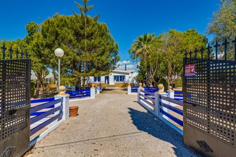 Landejendom i Jacarilla, Alicante, Jacarilla - € 489.000 | Ref: COL-27206 - foto 21
