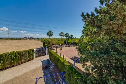 Landejendom i Jacarilla, Alicante, Jacarilla - € 489.000 | Ref: COL-27206 - foto 23