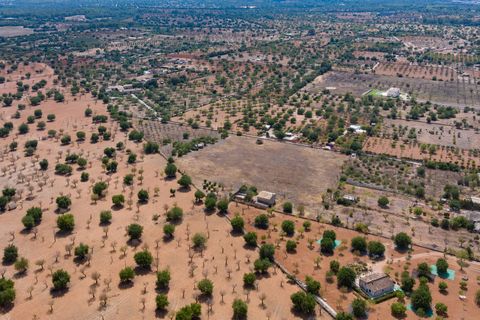 Villa a Bunyola, Mallorca, Bunyola - € 5.750.000 | Ref: 107126 - foto 12