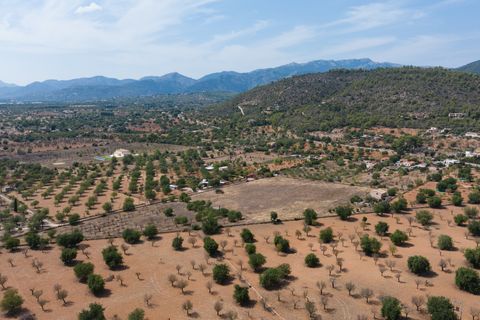 Villa a Bunyola, Mallorca, Bunyola - € 5.750.000 | Ref: 107126 - foto 13