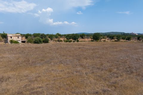 Villa a Bunyola, Mallorca, Bunyola - € 5.750.000 | Ref: 107126 - foto 15