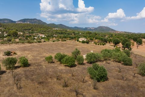 Villa a Bunyola, Mallorca, Bunyola - € 5.750.000 | Ref: 107126 - foto 16