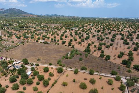 Villa a Bunyola, Mallorca, Bunyola - € 5.750.000 | Ref: 107126 - foto 17