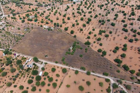 Villa a Bunyola, Mallorca, Bunyola - € 5.750.000 | Ref: 107126 - foto 18