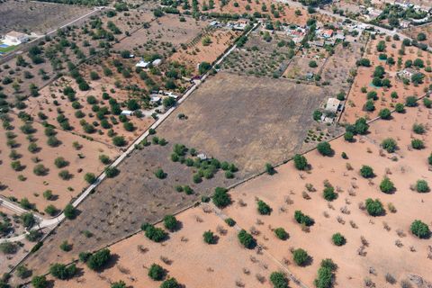 Villa a Bunyola, Mallorca, Bunyola - € 5.750.000 | Ref: 107126 - foto 19